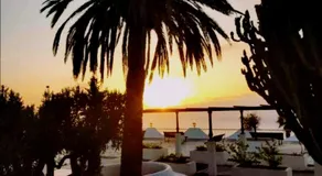 PURA VIDA - Image 3