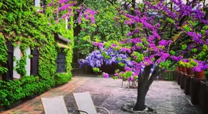 Masia Vista Hermosa - Image 3