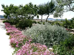 Apartment Mira A1 Zaboric, Riviera Sibenik - Image 5