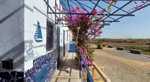 LA VELA - Image 3