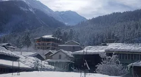 Himalayan bite pulga - Image 4