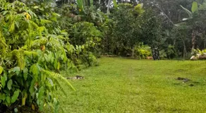Bali Home Taksu - Image 5