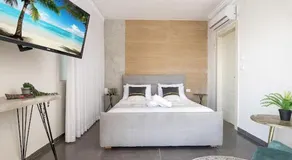 כינור דוד המלך במנות - Image 3