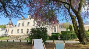 Château des Basses Roches - Image 5