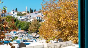 Olea Blue - Image 5