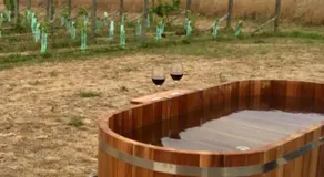 Romantic vineyard getaway on Wine Estate, with wine tasting, hot tub and amazing views - Image 3