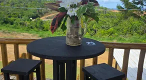 Container - Pura Vida - Image 5