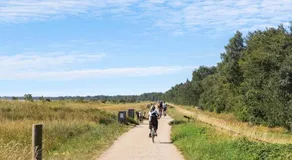 M416-Vaeggerlose-Skovviolvej-6 - Image 3