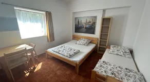 Jabłoń w Ogrodzie - Image 2