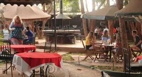 Impala Safari Lodge - Image 5