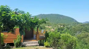 les chalets montagne du haut taravo - Image 4