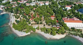 Hibis, No 2 - Image 5