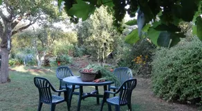 La Sauleraie - Image 5