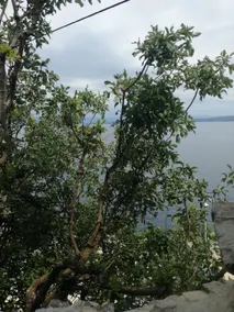Depadanse/ amazing sea view - Image 5