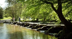 Zeal Farm - Image 5