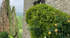 San Martino Vald'Afra - Image 4