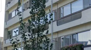 Gezellig appartement Beveren Kruibeke Zwijndrecht Donkvijver - Image 4