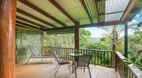 Atherton Blue Gum  - Image 2