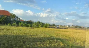 Balian Retreat Centre Homestay - Image 4