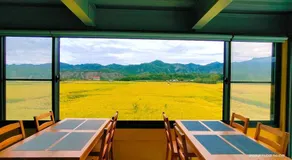 小葉園民宿Little Ya B&B-臺東縣民宿1847號 - Image 5