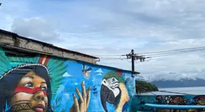 Flor Da Ilha - Image 5