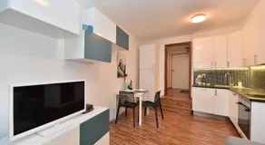 Apartments Palmovka - Image 3