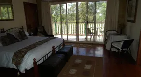 Back to the Bush - Image 2