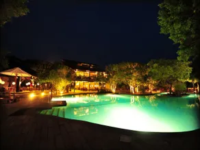 Cinnamon Wild Yala - Image 4