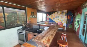 Viejo Lobo - Image 5