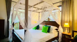 Rooshan Villa - Image 2