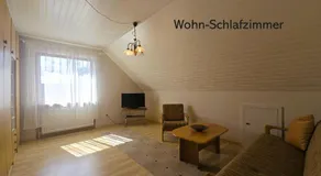 Silbermöwe - Image 2
