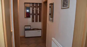 Flora - Image 3