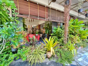 Bed and Terrace Guesthouse Chiang Mai - Image 5