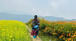 Manaslu Homestay - Image 3