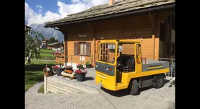 Chalet Petunia - Image 3