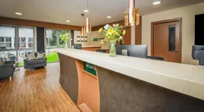 Dromroe Village University of Limerick - Image 3