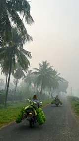 Sai’s Nature House - Image 5