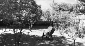 Par la Dives - Image 5