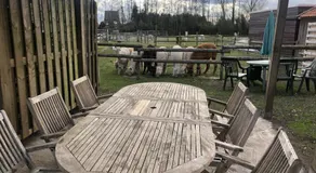 slapen bij alpacas - Image 4