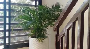Drew Hostel - Image 3