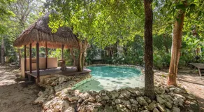 Luxury Jungle Suite with Private Jacuzzi & Cenote Pool View - Image 5