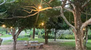 บ้านสวนวงศ์จินดารักษ์ - Image 2