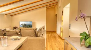 Liston Luxury Penthouse - Image 4