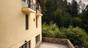 Hotel forest echo - Image 4
