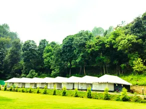 Bhimtal Wilderness - Image 5