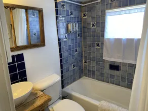 Taos Goji Farm & Eco-Lodge Retreat - Image 4