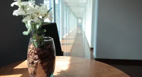 Hotel Plaza Delta - Image 5