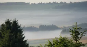 Gasthaus zur Heide am Nürburgring - Image 4