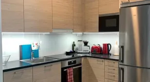 Modern city apartment with Sauna nearby the Airport - Image 3