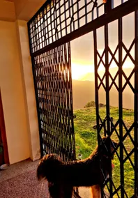 High Land Crib - Image 3